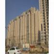 Residential Apartment 3 Bhk  Rent Golf Course Road Gurgaon